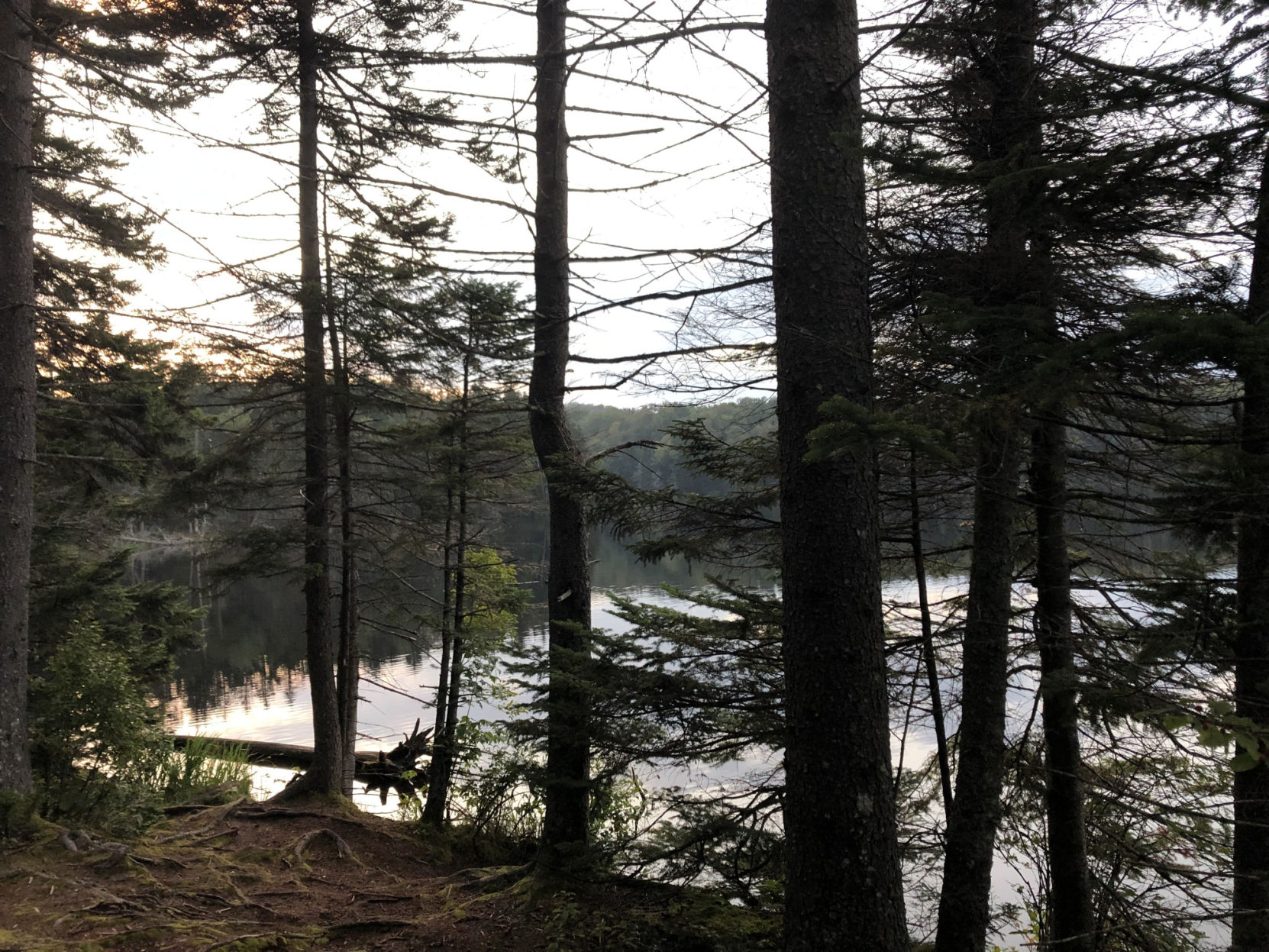 Back in the woods, tipping back a few